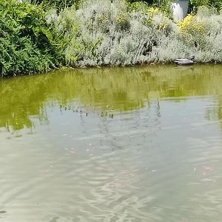 Domaine Le Lanis Chambre D'Hotes Piscine Spa Privatise Sur Reservation Сен-Жирон Экстерьер фото